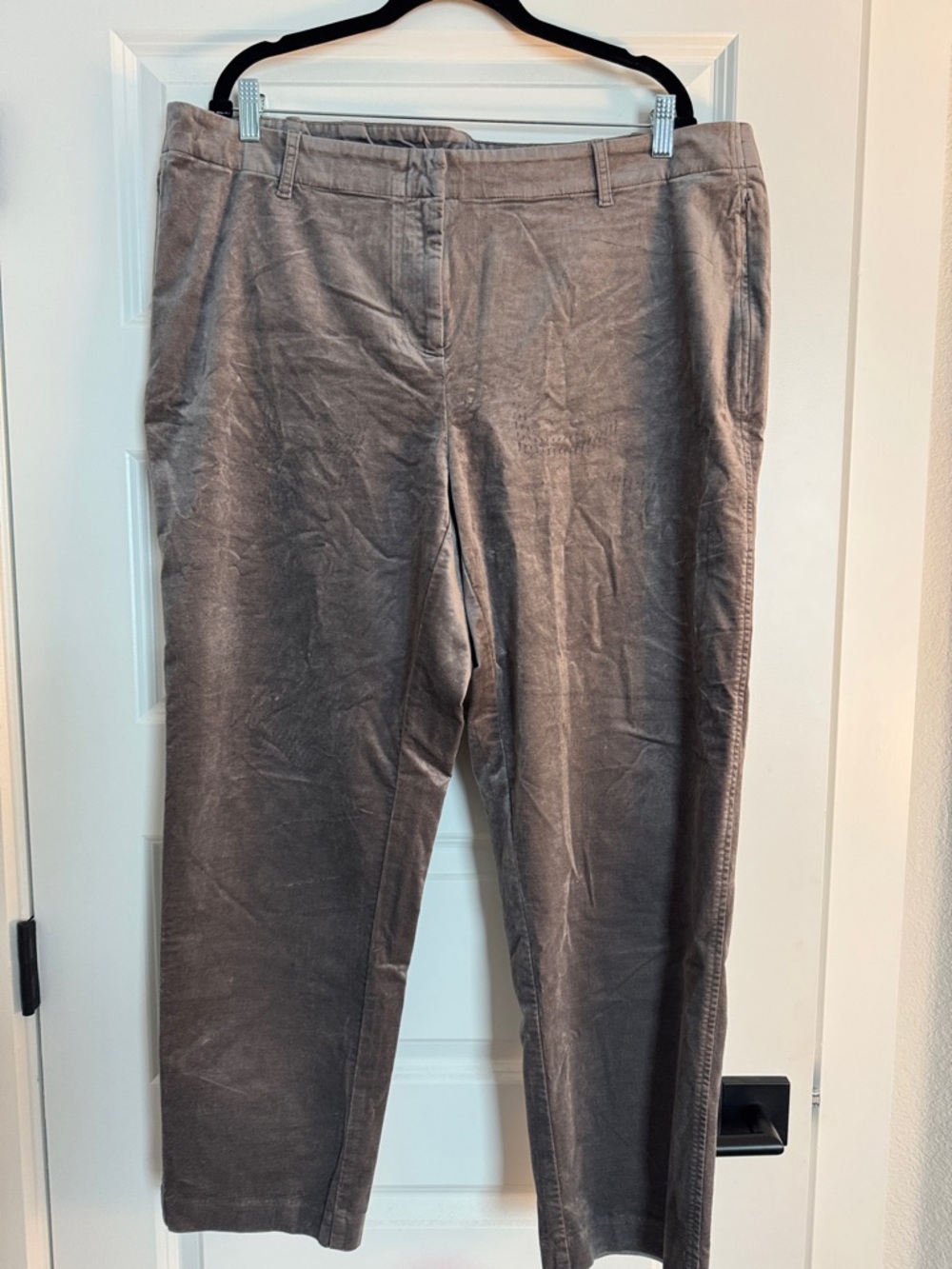 J. Jill Taupe Gray Trousers